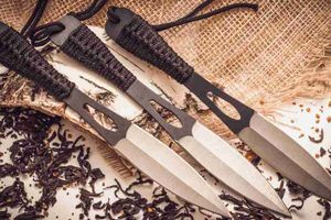 Метательные ножи: их особенности и тонкости выбора