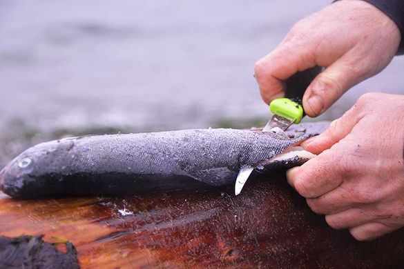 Нож рыбацкий Mora Fishing Comfort, 11892