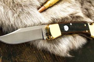 Buck 110 Folding hunter: преимущества долгожителя ножевой индустрии
