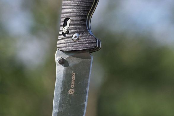 Нож складной Ganzo G720 черный