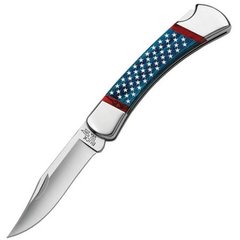 Нож карманный Buck Stars & Stripes Folding Hunter 110BLSUSAB, Разноцветный