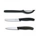 Набор кухонных ножей Victorinox SwissClassic, 6.7113.31