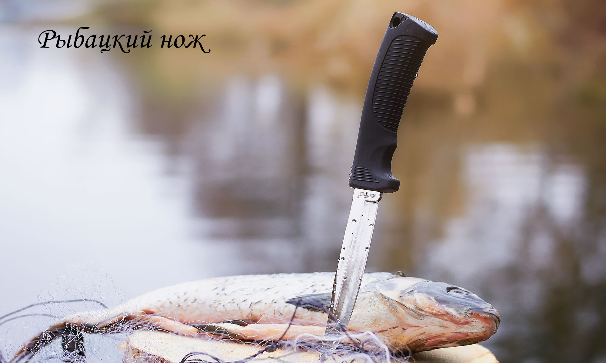 выбор ножа для рыбалки